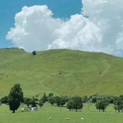 尊龙AG旗舰厅登录