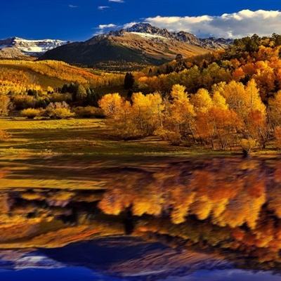 betway88必威东盟体育