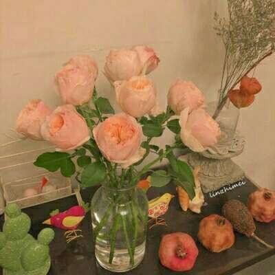 金沙集团186cc成色