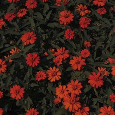 beat365中国在线体育手机app下载